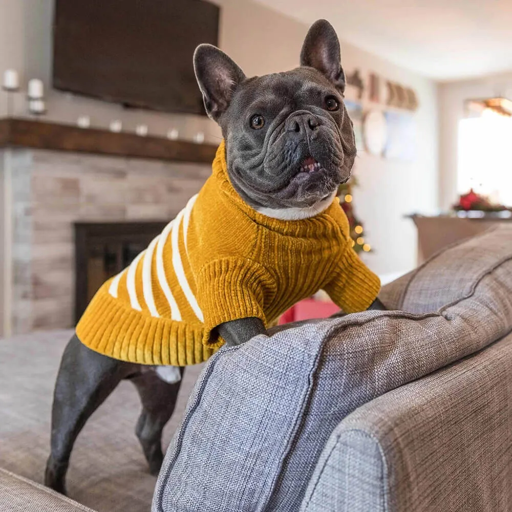 Blueberry Pet Soft Chenille Striped Sweater Mustard