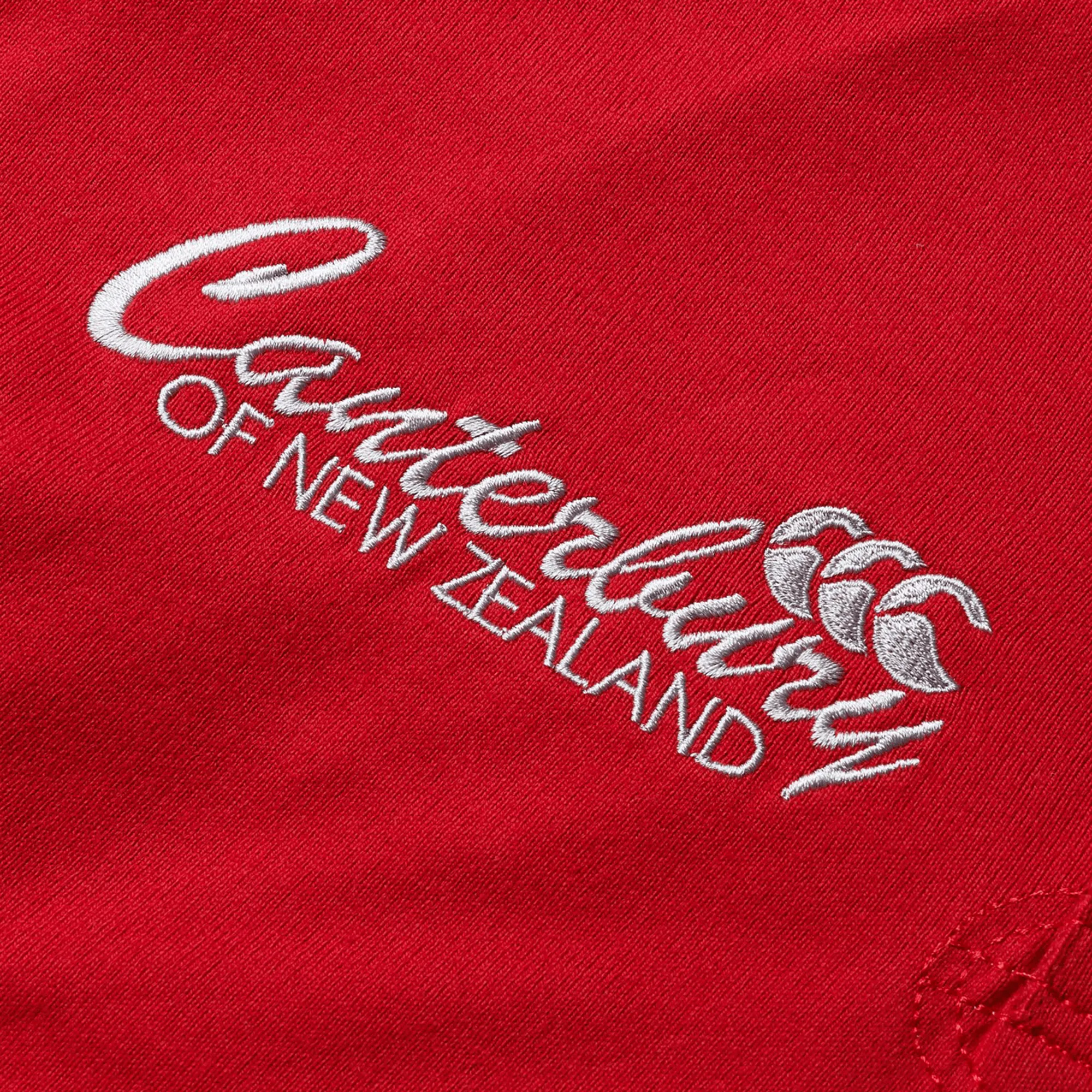 British & Irish Lions 2025 Heritage Jersey by Canterbury