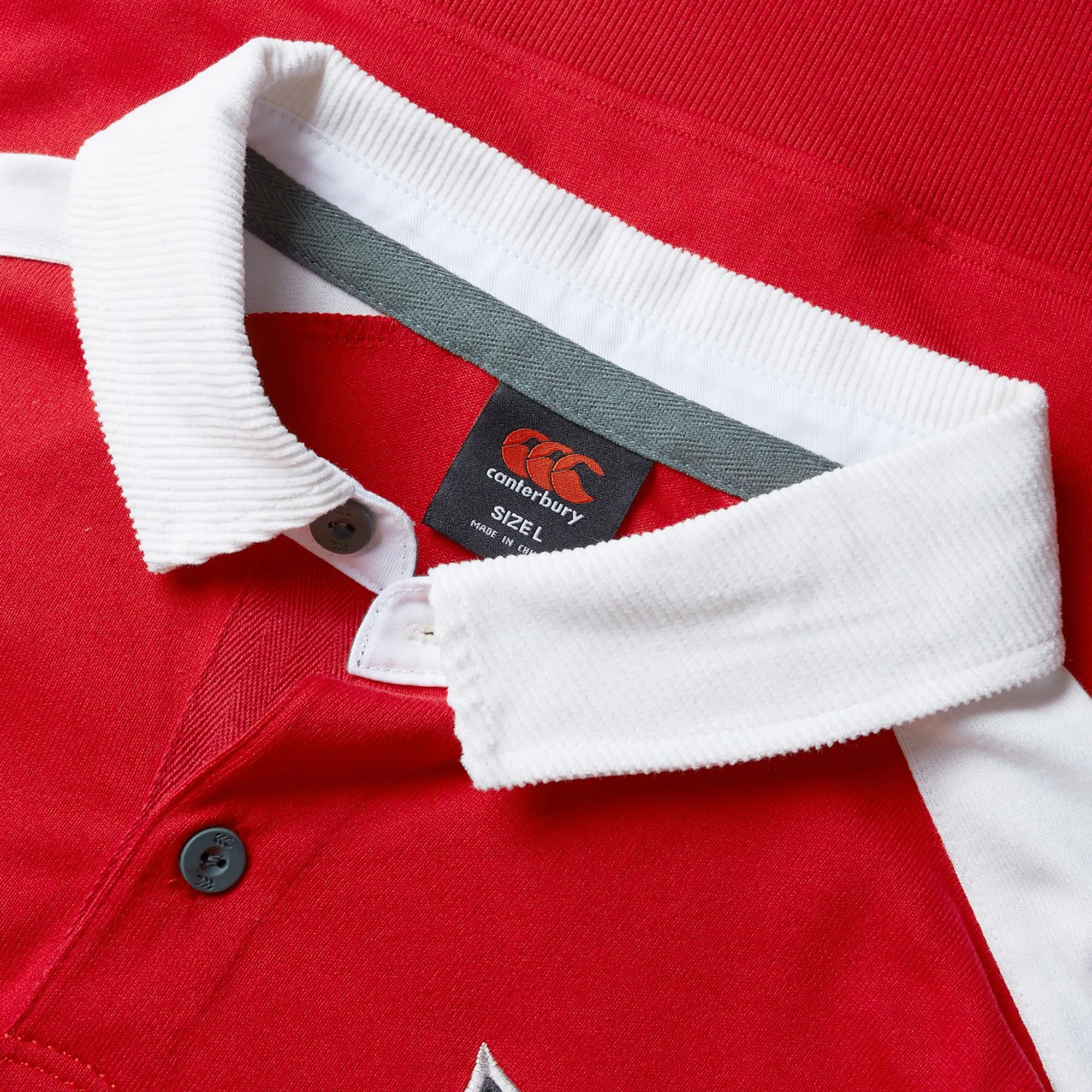 British & Irish Lions 2025 Heritage Jersey by Canterbury