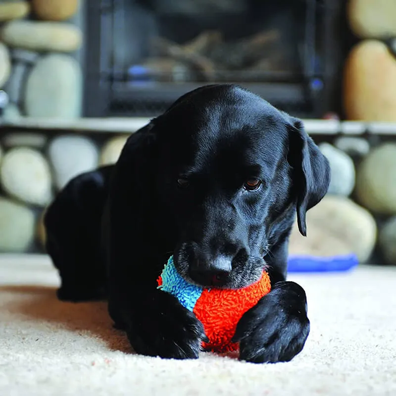 Chuckit! Indoor Ball