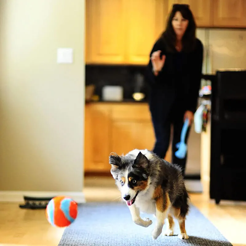 Chuckit! Indoor Ball