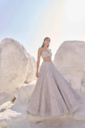 Coffee Silver Lehenga Set