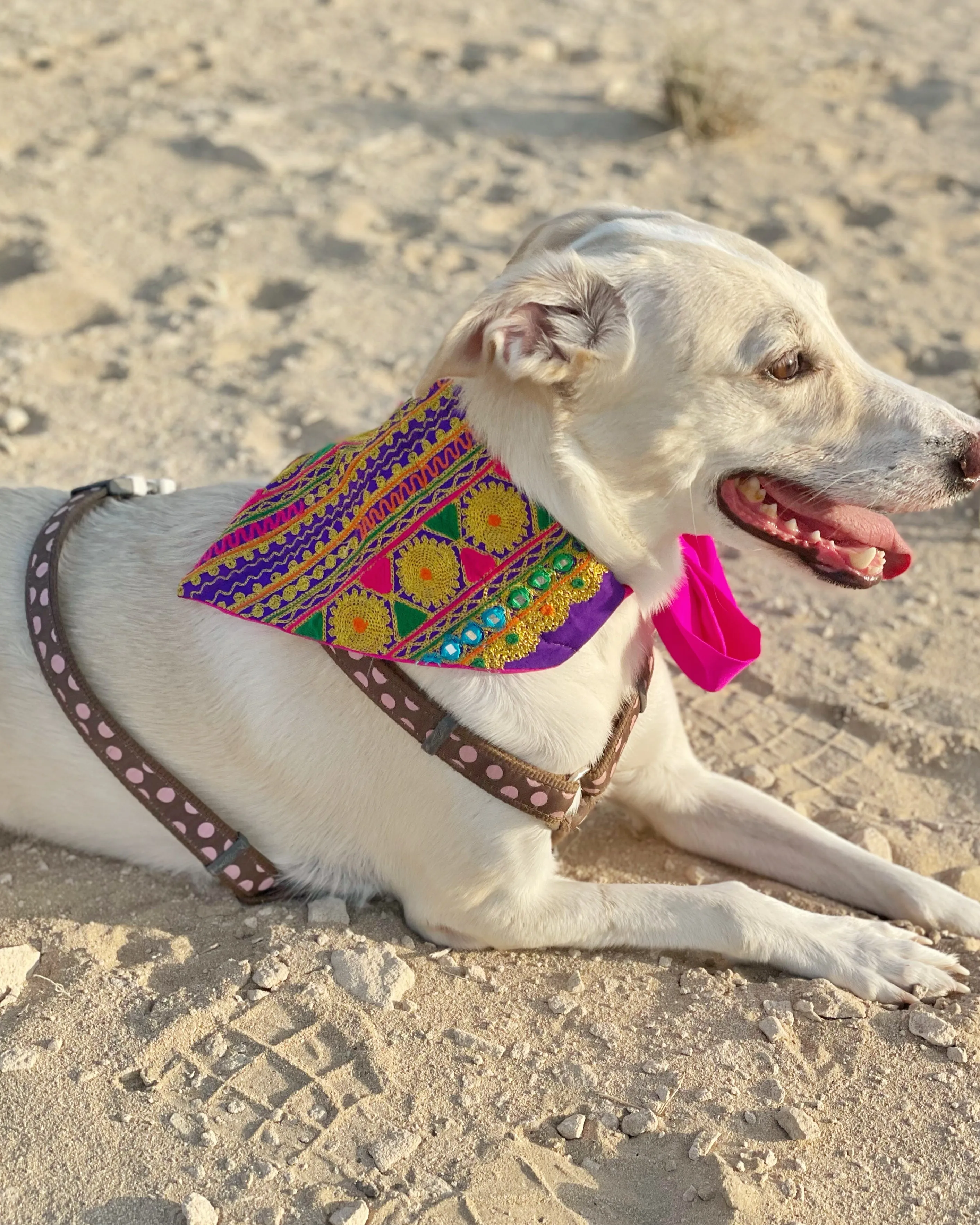 Embroidered Doggy Bandana