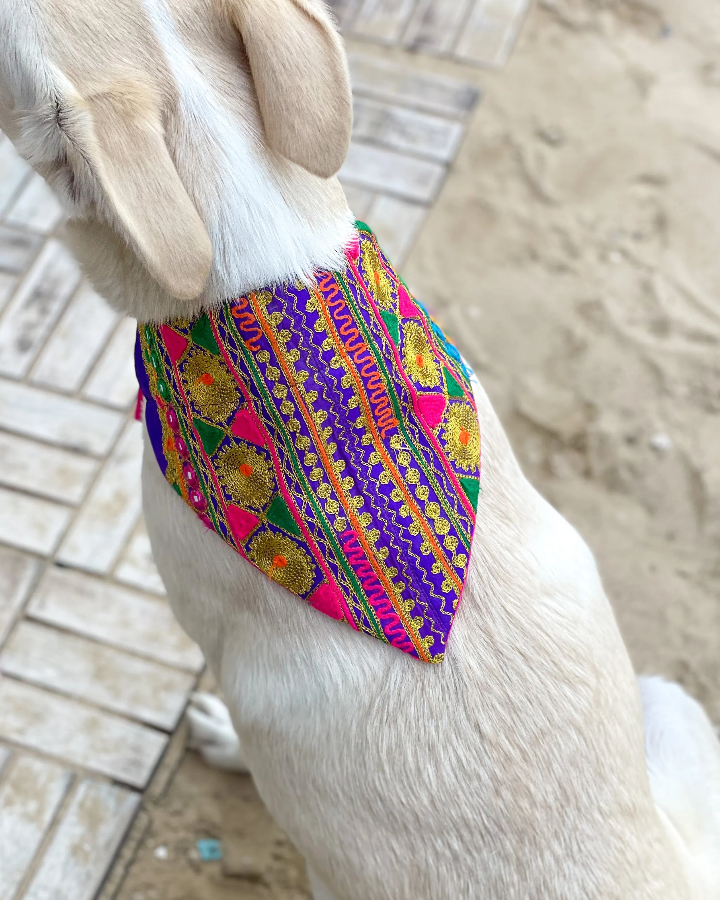 Embroidered Doggy Bandana