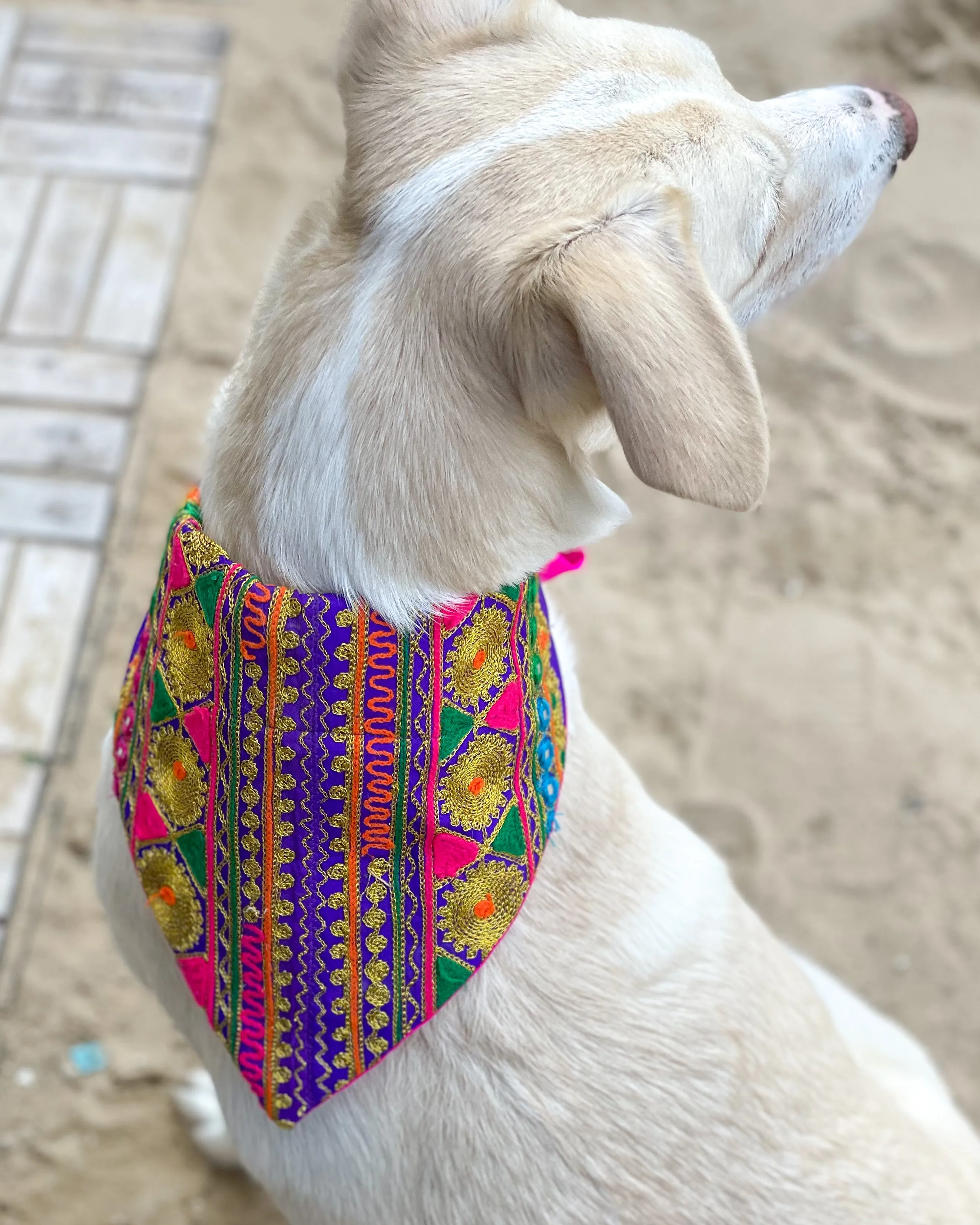 Embroidered Doggy Bandana