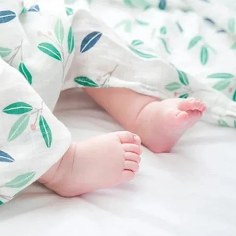 Extra Large Olive Bamboo Muslin