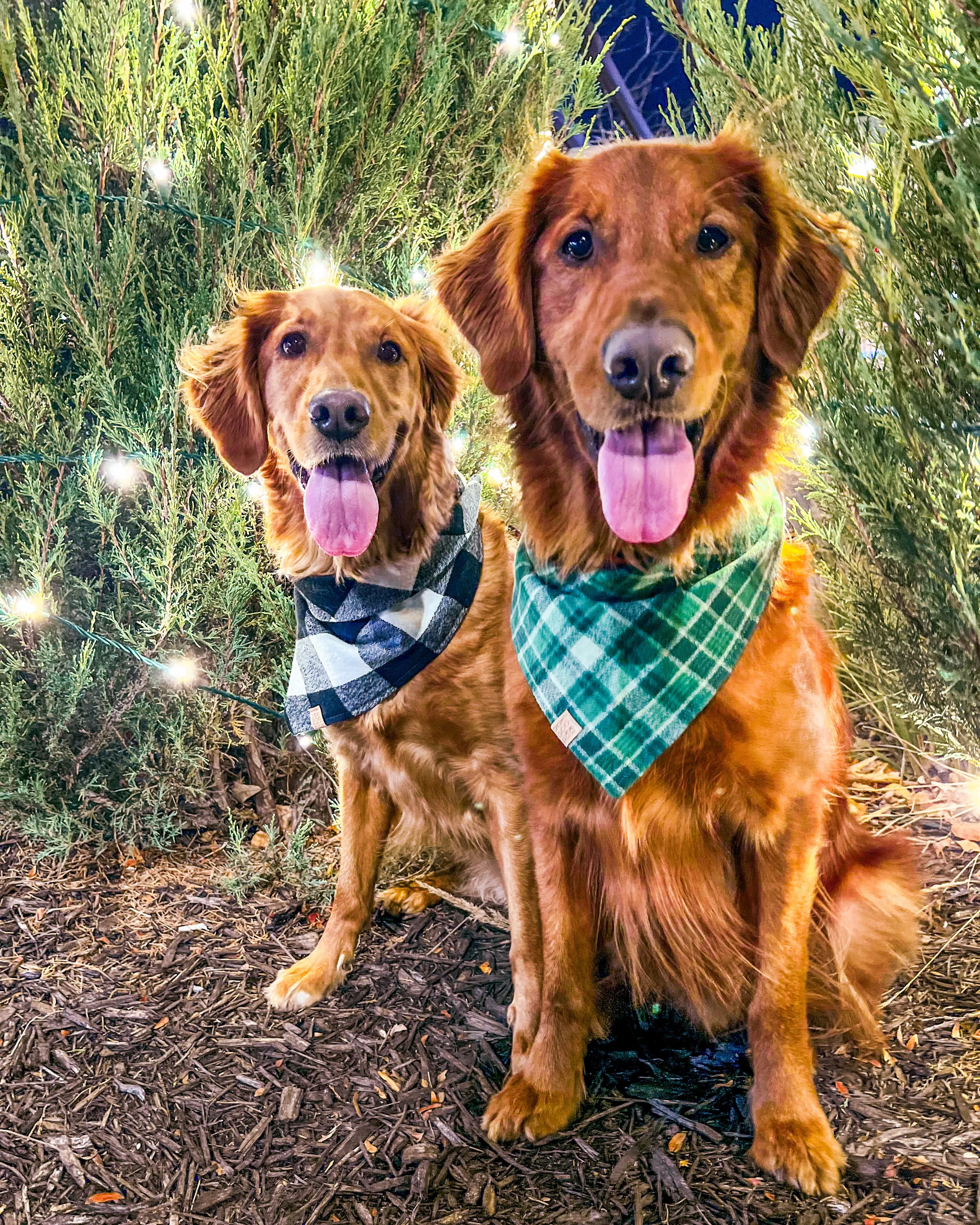Forest Green Plaid Flannel Dog Bandana (Personalization Available)