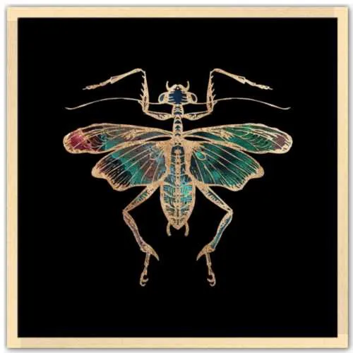Galactic Cricket Fine Art Print by Aimee Schreiber
