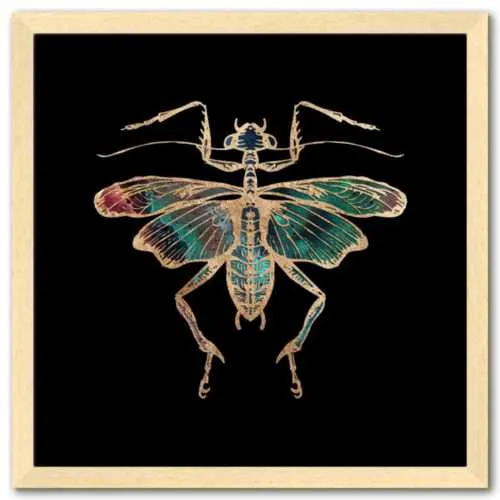 Galactic Cricket Fine Art Print by Aimee Schreiber