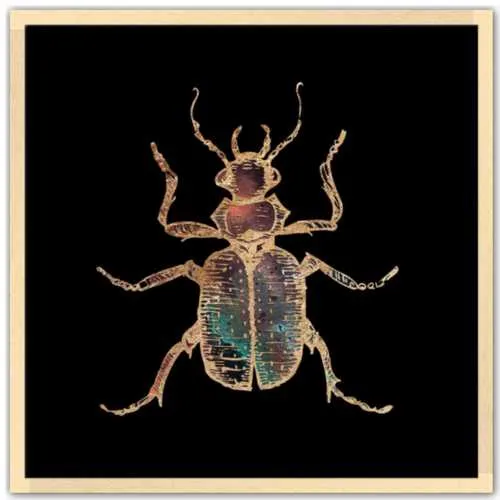 Galactic Hunter Beetle Fine Art Print by Aimee Schreiber
