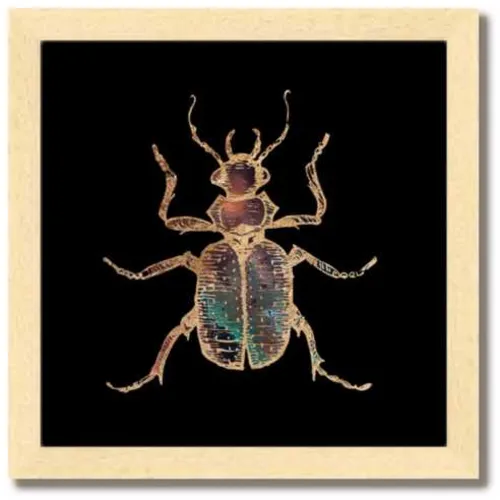 Galactic Hunter Beetle Fine Art Print by Aimee Schreiber