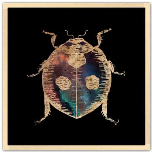 Galactic Ladybug Fine Art Print by Aimee Schreiber