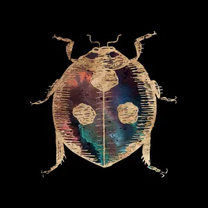 Galactic Ladybug Fine Art Print by Aimee Schreiber