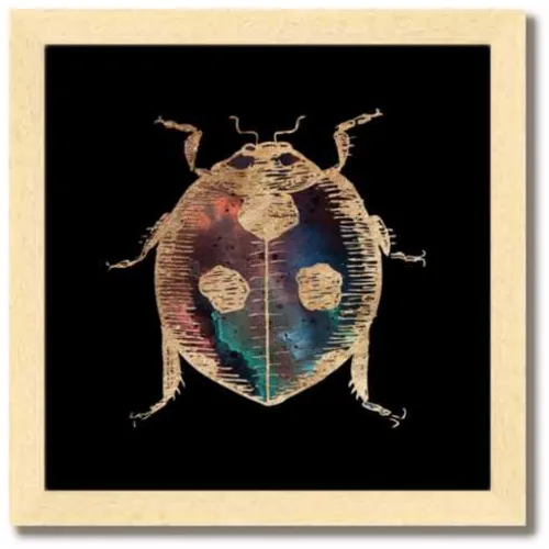 Galactic Ladybug Fine Art Print by Aimee Schreiber