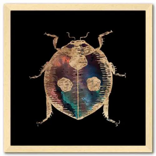 Galactic Ladybug Fine Art Print by Aimee Schreiber