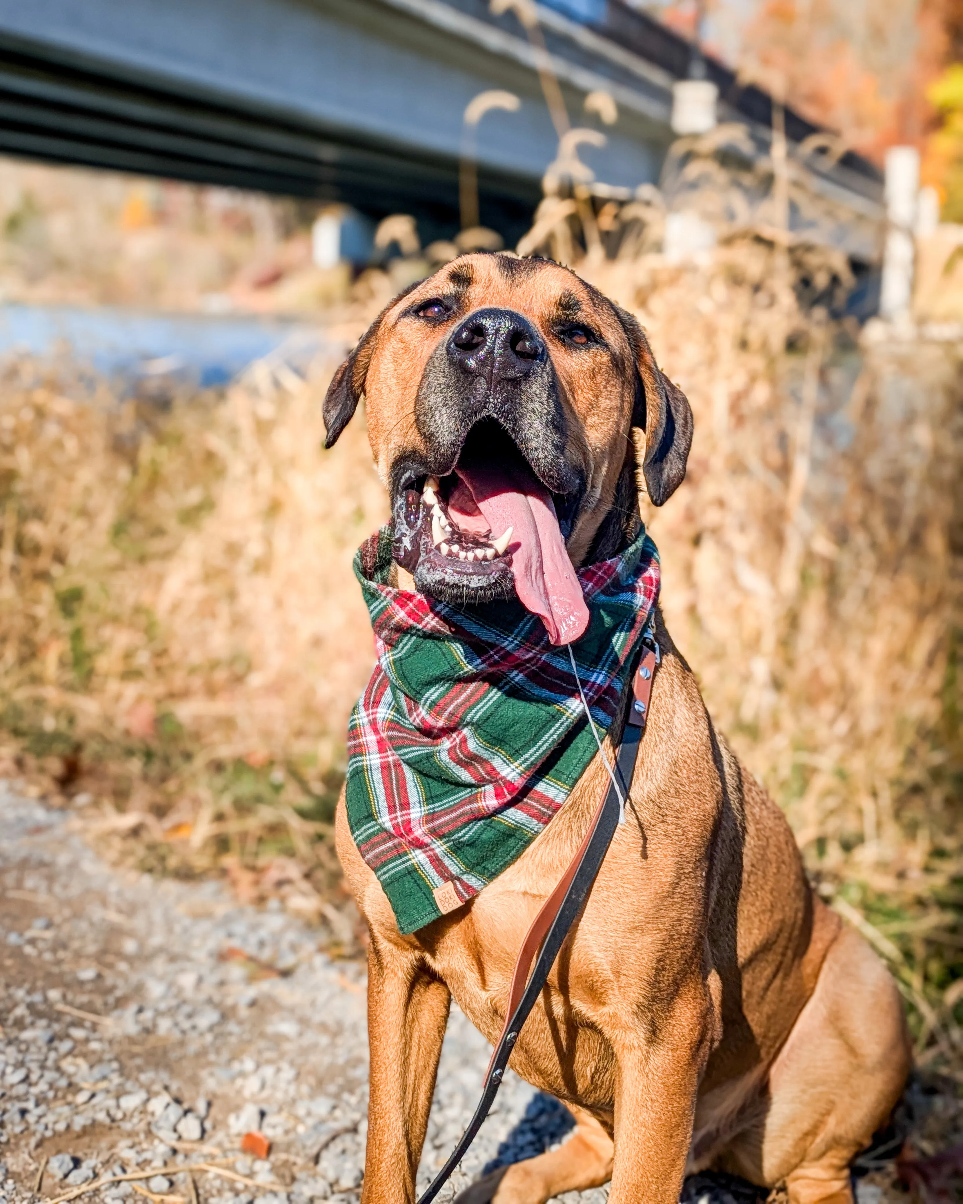 Green Plaid Flannel Dog Bandana (Personalization Available)