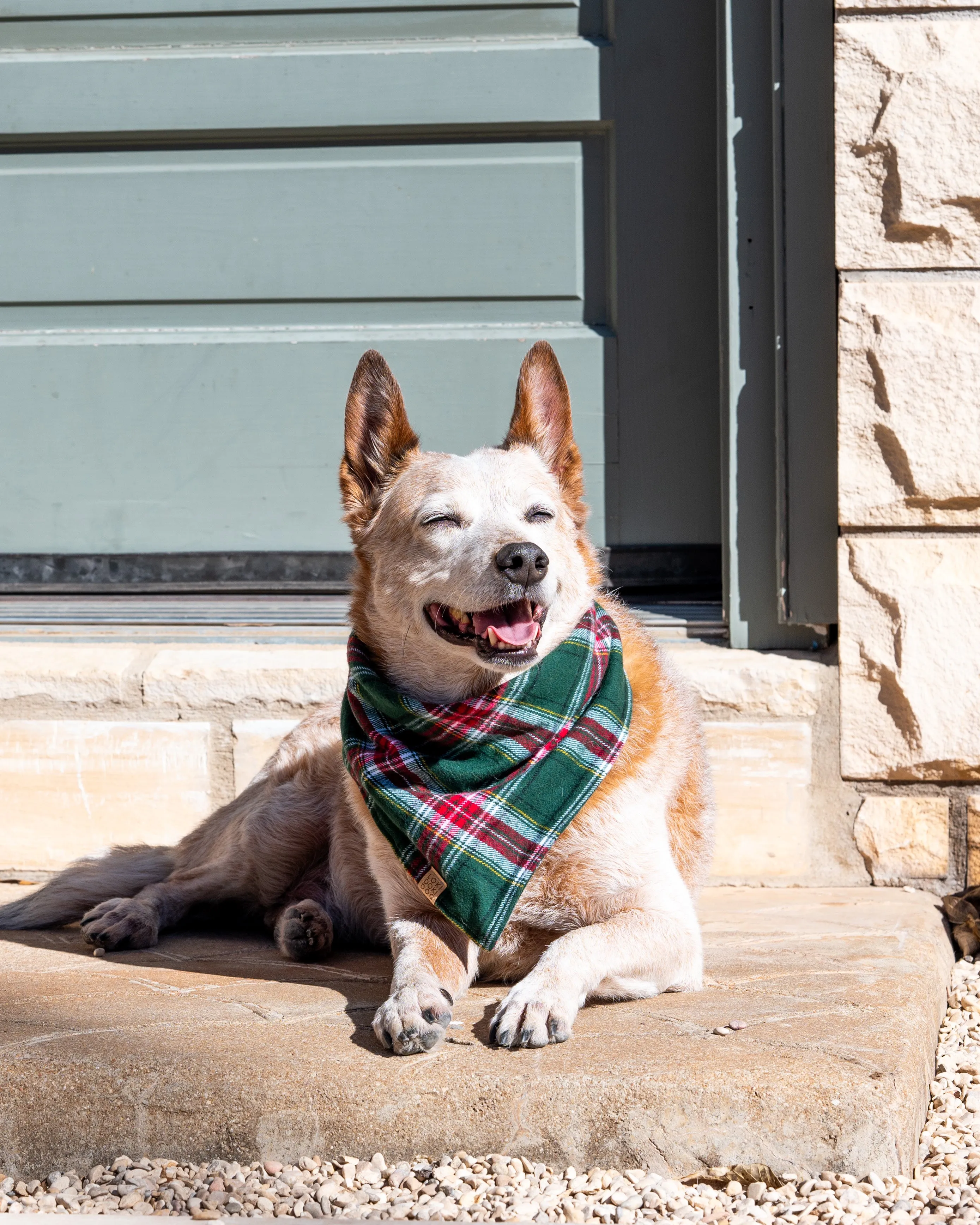 Green Plaid Flannel Dog Bandana (Personalization Available)