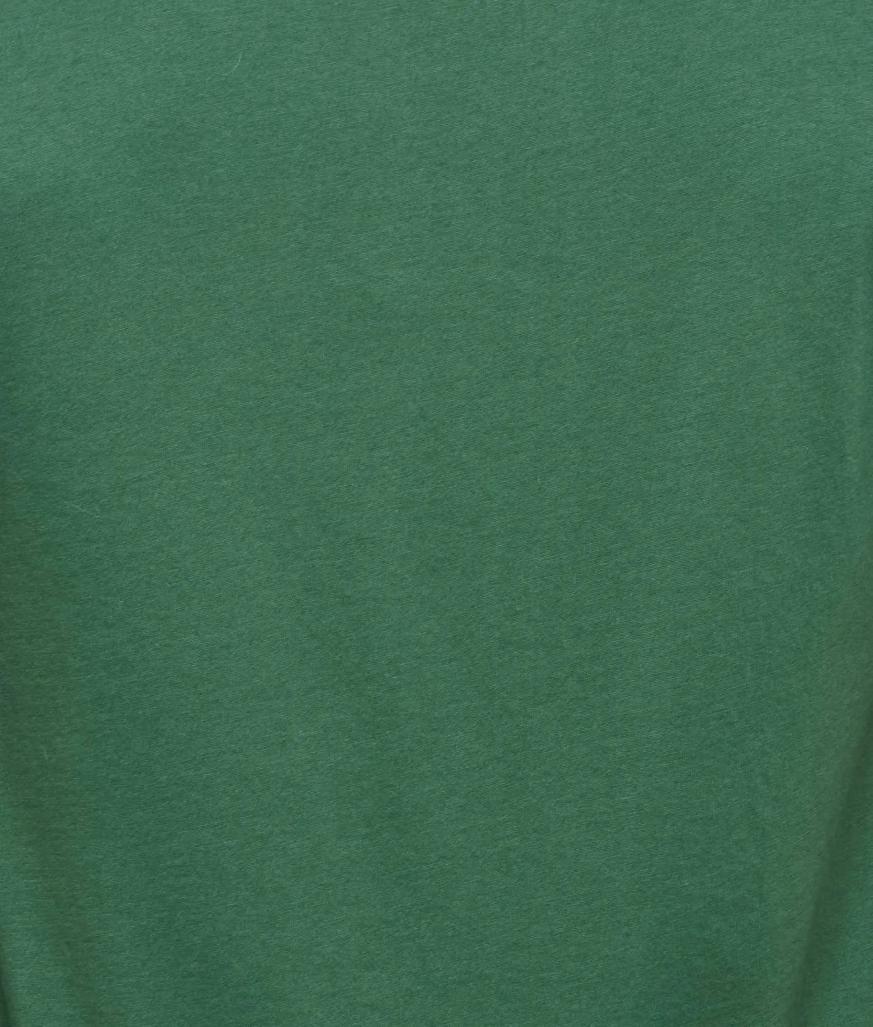 Lucchese Crew Neck Tee :: Loden Green