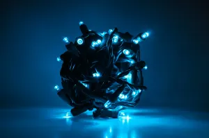 Outdoor LED Lighted Christmas Tree with Green Base and Green and White Tree Lights