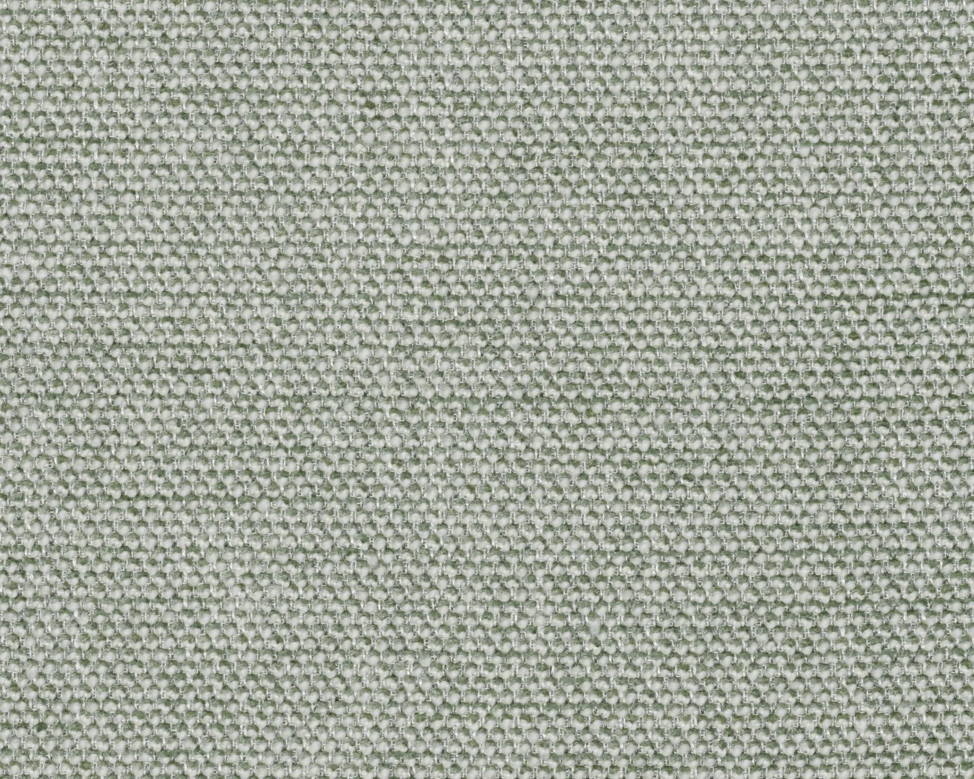 Safire - 0006