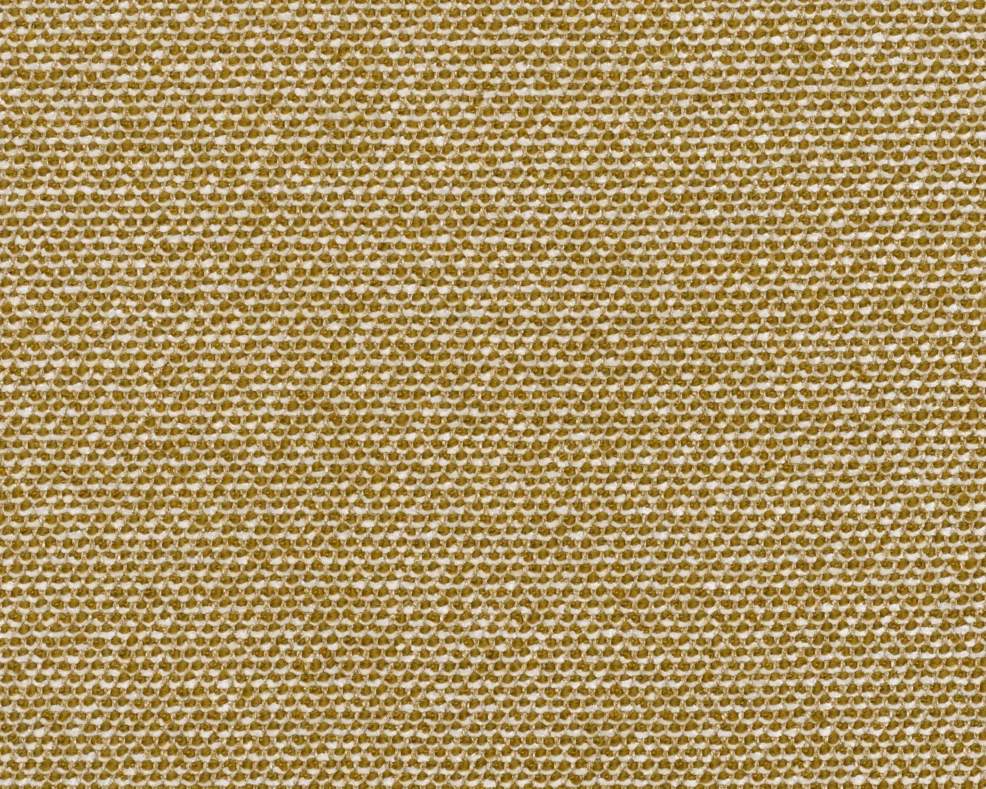 Safire - 0016