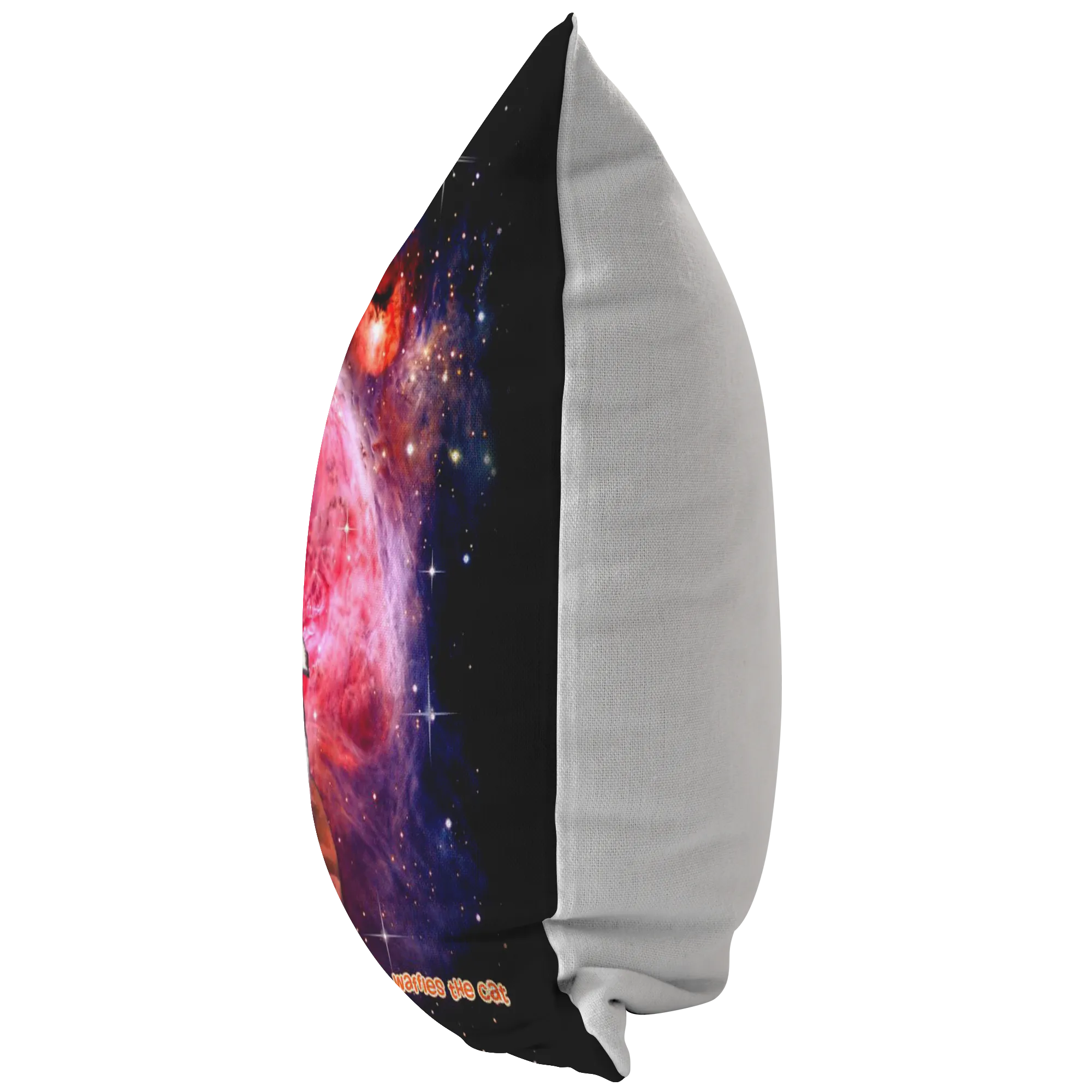 Space Waffles Pillow