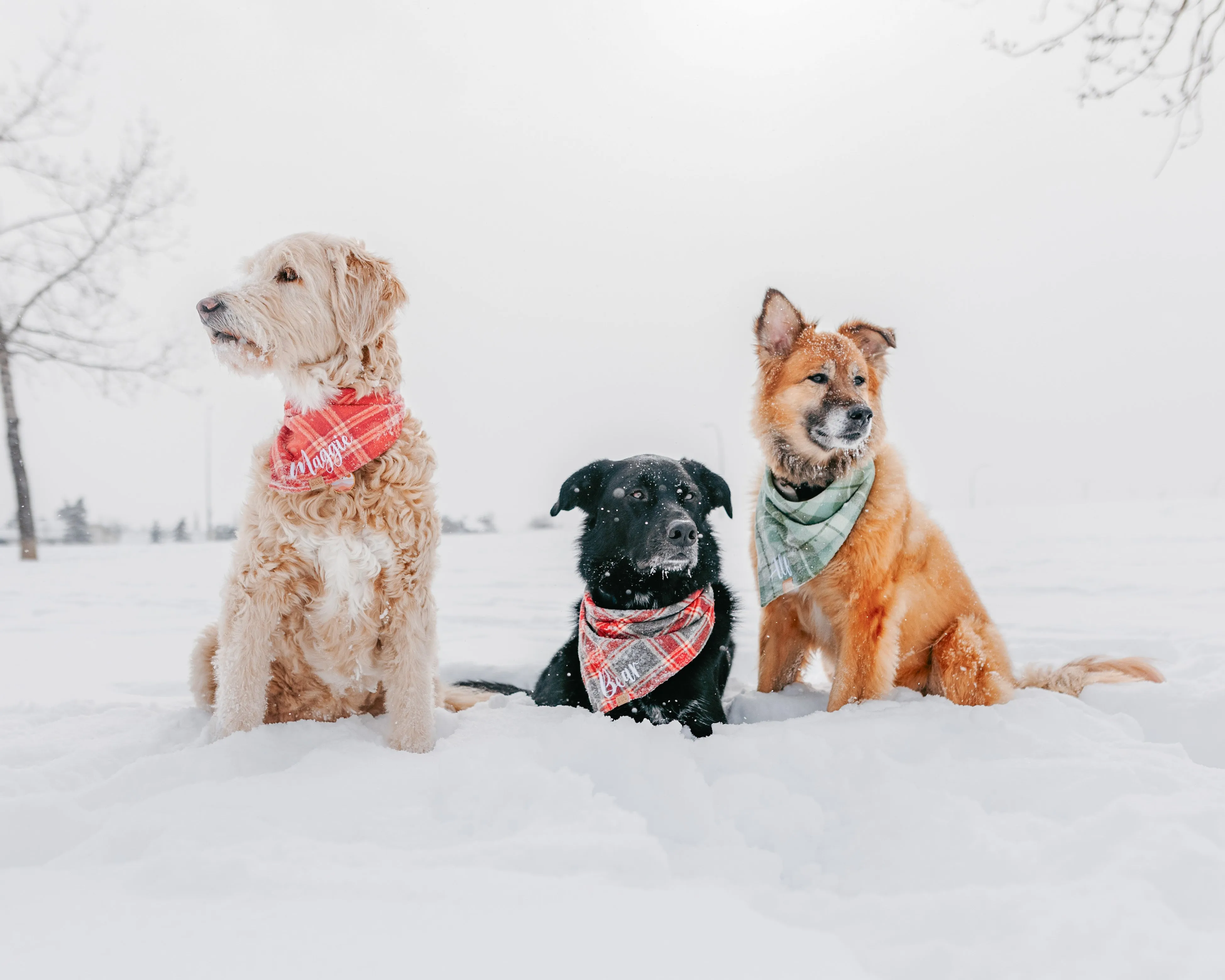 Sun-kissed Coral Plaid Flannel Dog Bandana (Personalization Available)