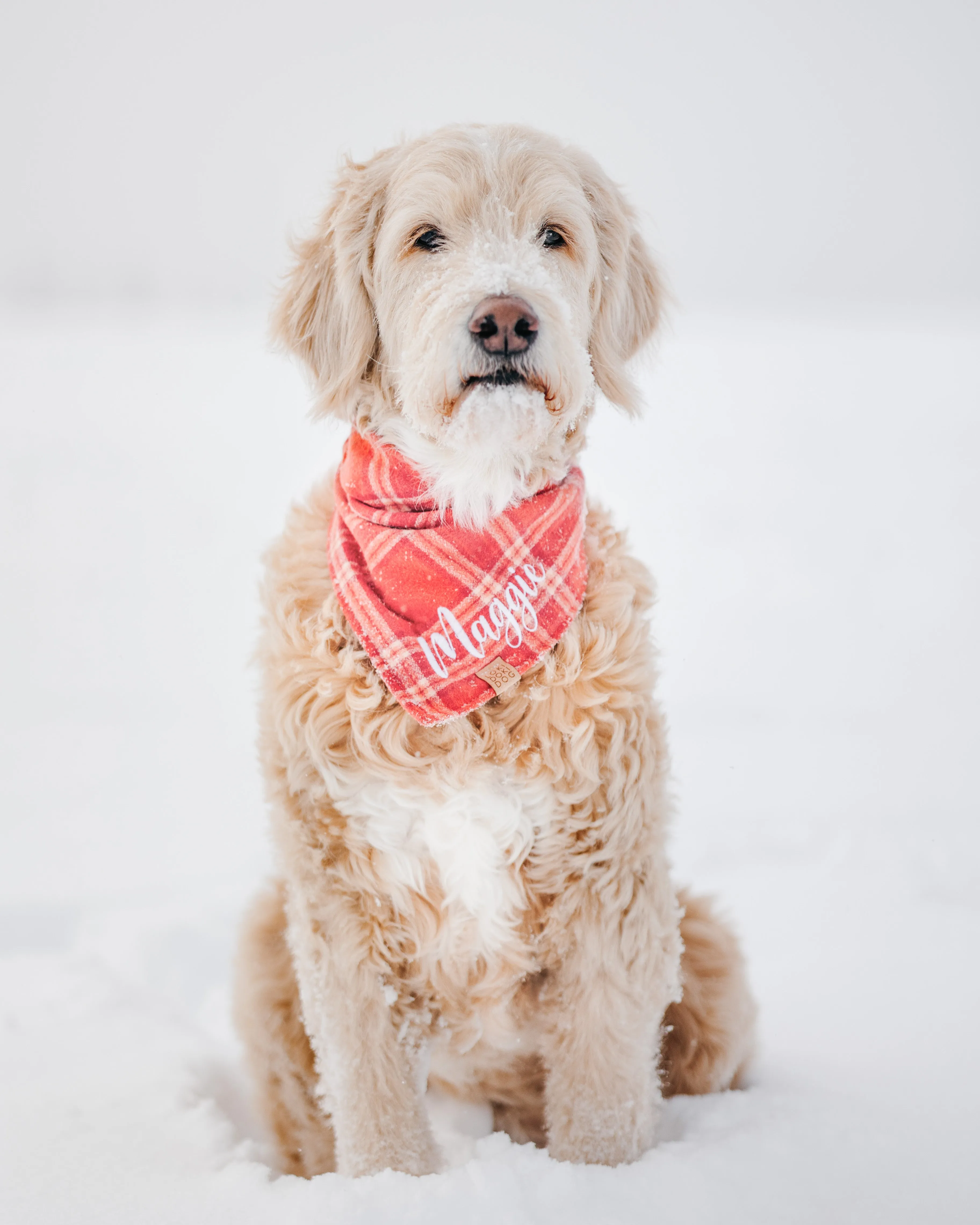 Sun-kissed Coral Plaid Flannel Dog Bandana (Personalization Available)