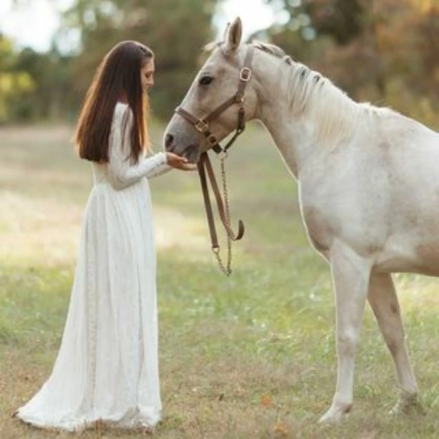 Train Wedding Modest Dress   #1212