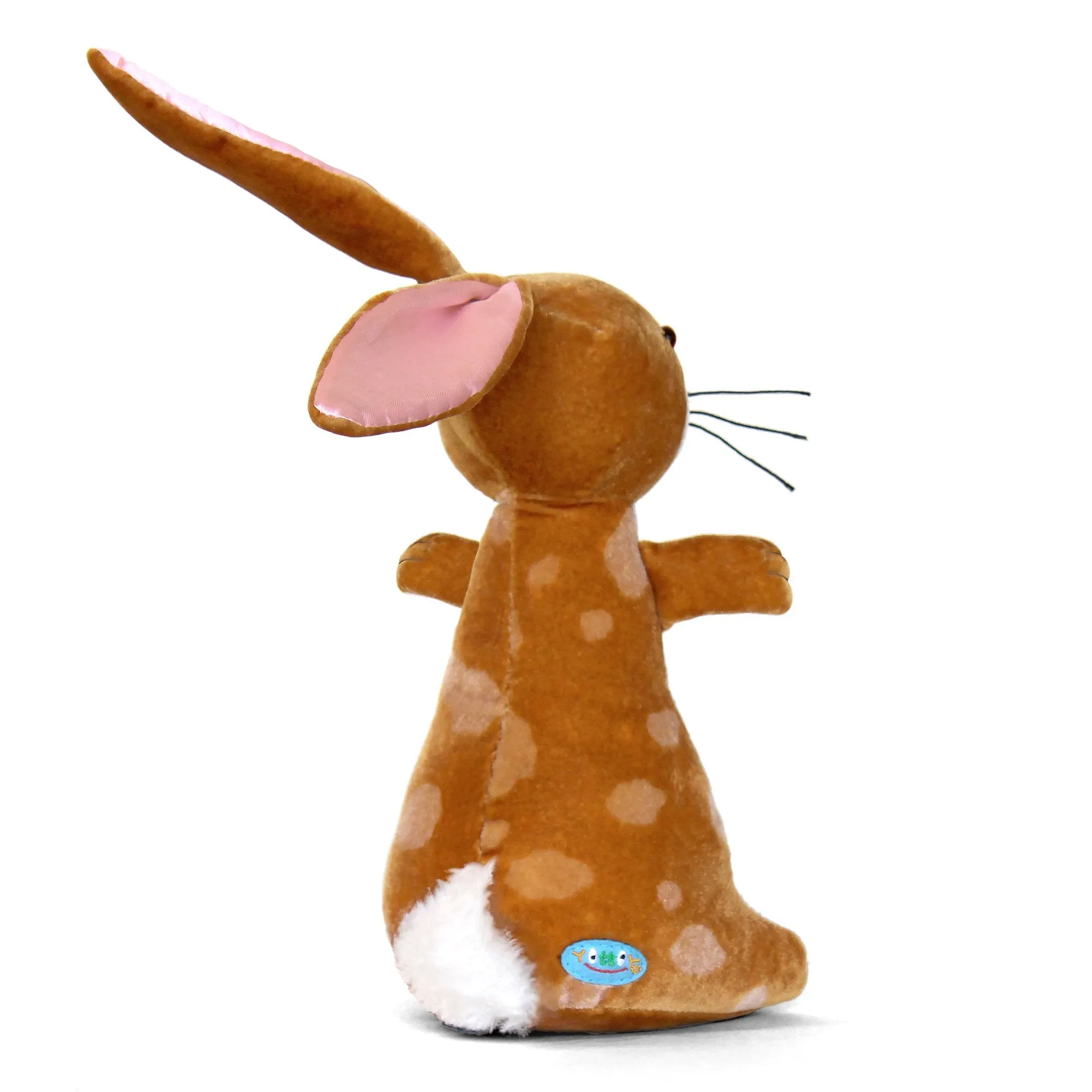 Velveteen rabbit soft toy   Book set