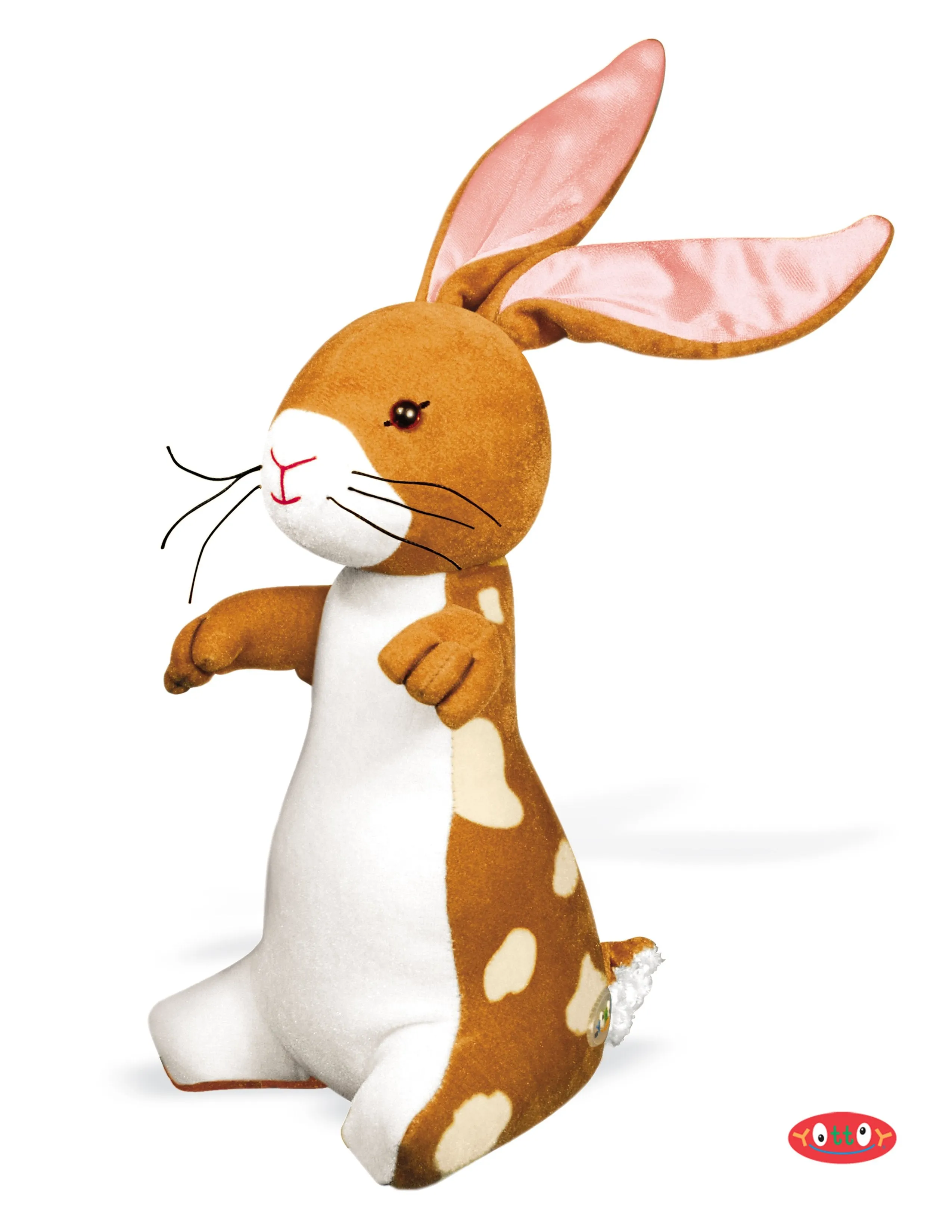 Velveteen rabbit soft toy   Book set