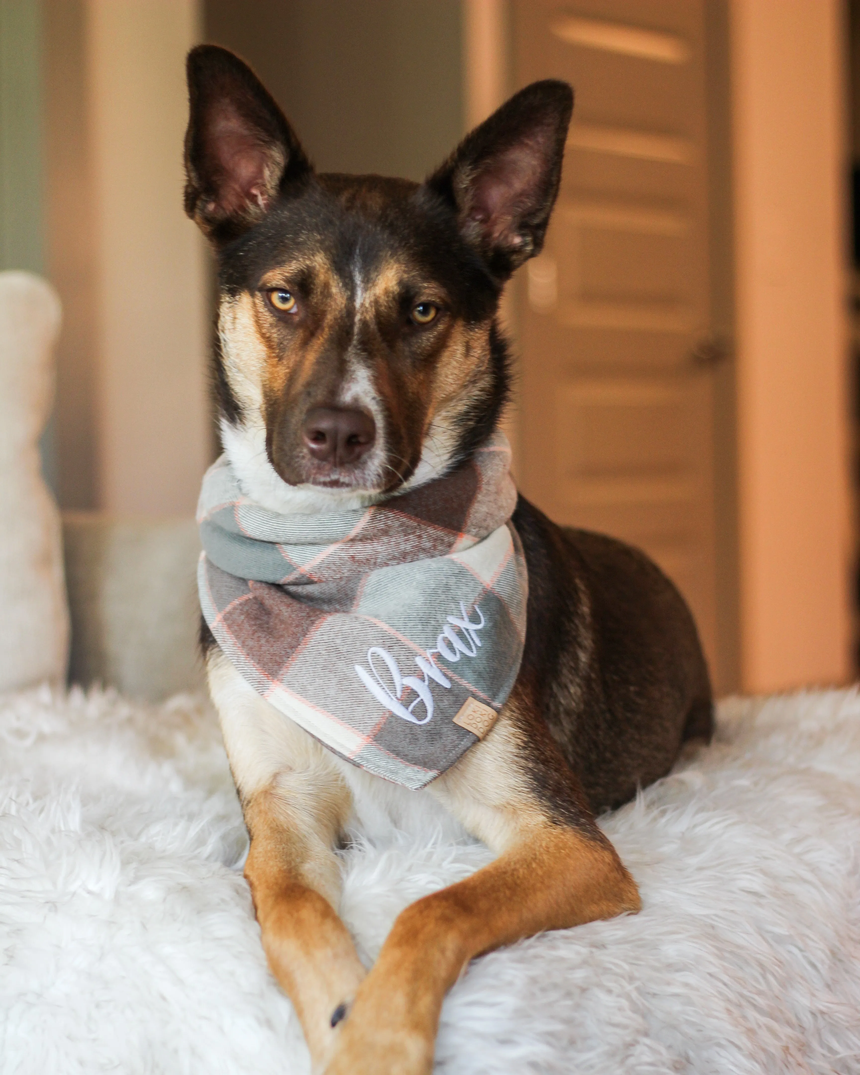 Walnut Plaid Flannel Dog Bandana (Personalization Available)